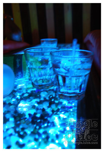 stlucia_jazz_2008_pulse_fri9-017