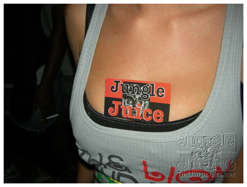 summerjam_fest_2008-080