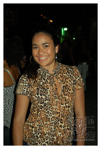 synergy_model_finals_3_oct2k8-006