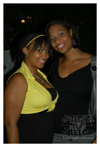 synergy_model_finals_3_oct2k8-011