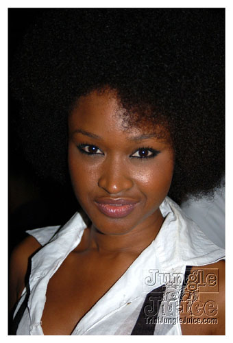 synergy_model_finals_3_oct2k8-018