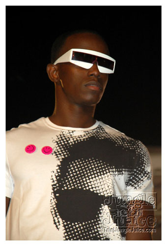 synergy_model_finals_3_oct2k8-020