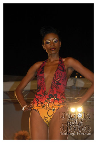 synergy_model_finals_3_oct2k8-025