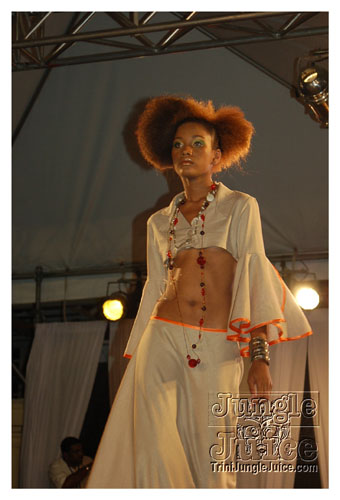 synergy_model_finals_3_oct2k8-038