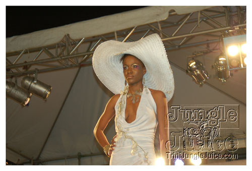 synergy_model_finals_3_oct2k8-039