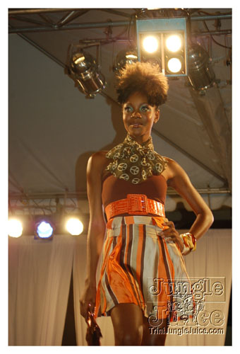 synergy_model_finals_3_oct2k8-057