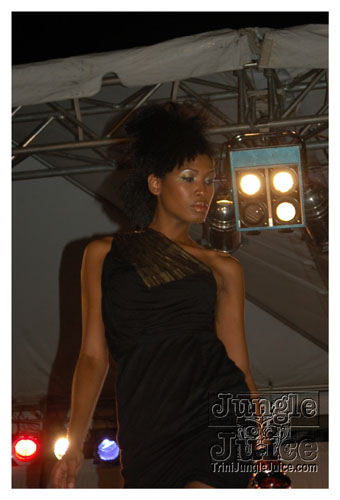 synergy_model_finals_3_oct2k8-058