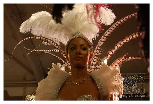 synergy_model_finals_3_oct2k8-112