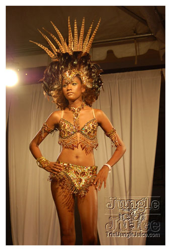 synergy_model_finals_3_oct2k8-113