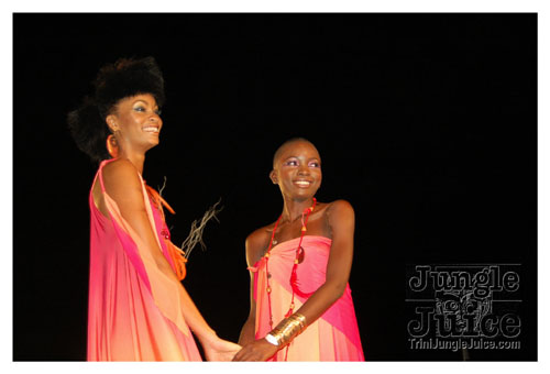 synergy_model_finals_3_oct2k8-123