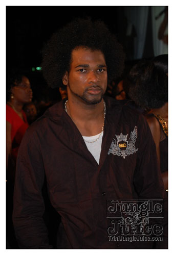 synergy_model_finals_3_oct2k8-150