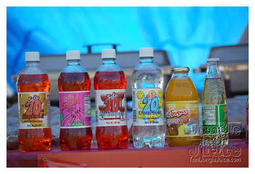 tampabay_carnival_2008_sat-024