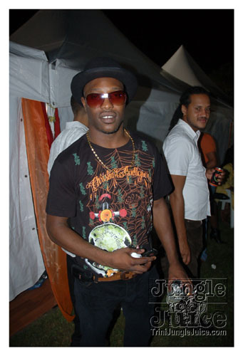 temperature_2008-055