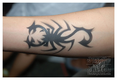 tribe_2k9_launch-059