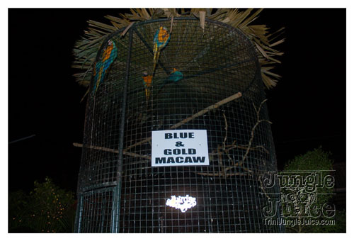 tribe_2k9_launch-235