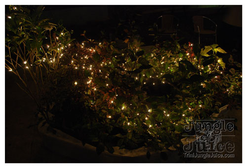 trini_posse_2008_pt1-002