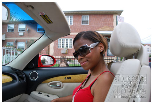 under_the_trees_2008-002