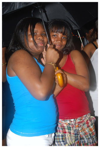 under_the_trees_2008-043