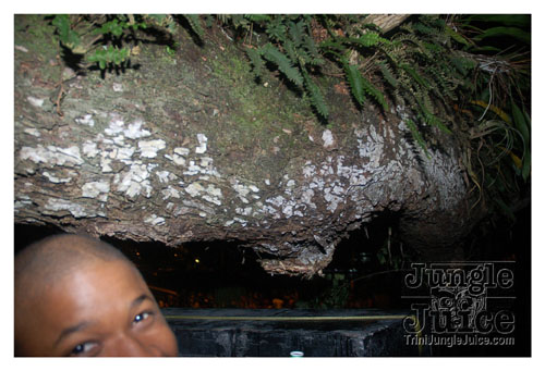 uwi_campus_carnival_2008-080