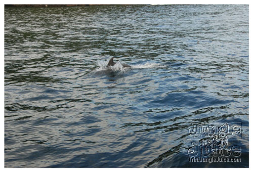 6degrees_boat_cruise_feb21-119