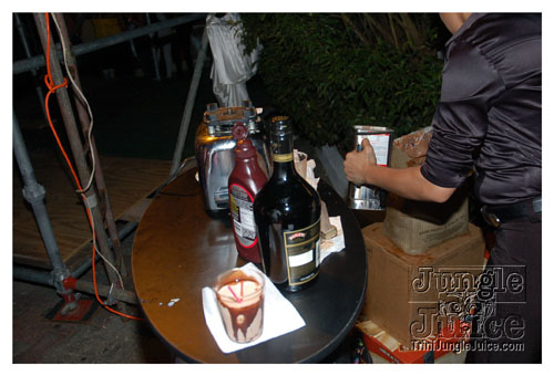 asbrydens_all_inclusive_feb14-039