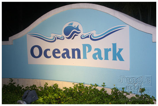 baje_jouvert_july31-001