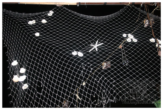 basic_cooler_fete_aug16-190