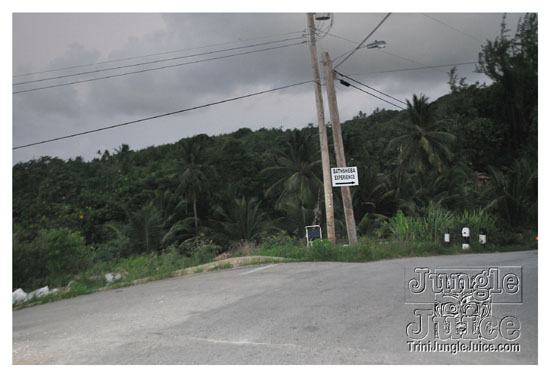 bathsheba_exp_july31-002