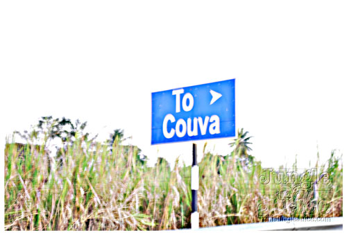 beach_house_carnival_2009-001