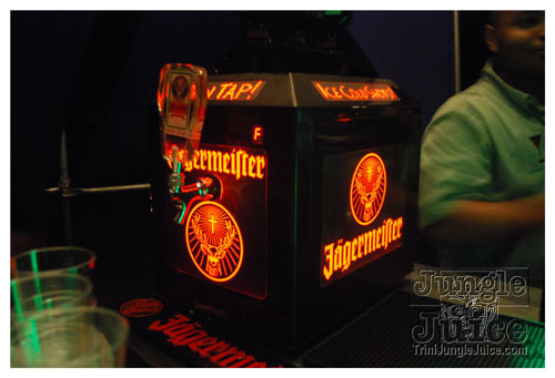 beach_house_carnival_2009-079