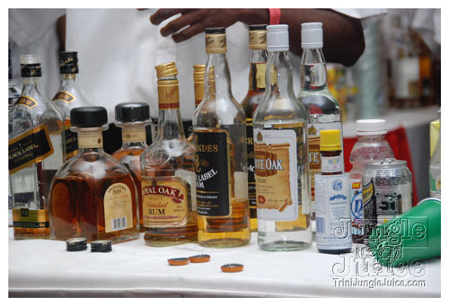 beach_house_carnival_2009-091