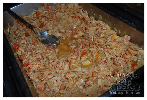 beach_house_carnival_2009-093