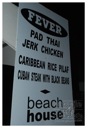 beach_house_carnival_2009-198
