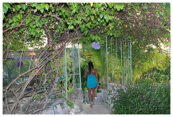 bliss_all_incl_barbados_aug1-007