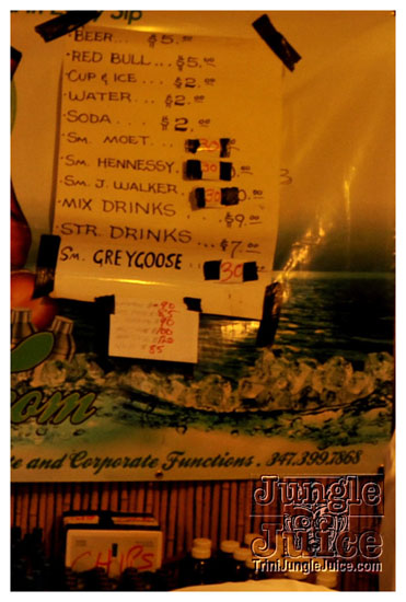 bottle_fest_2009_july5-008