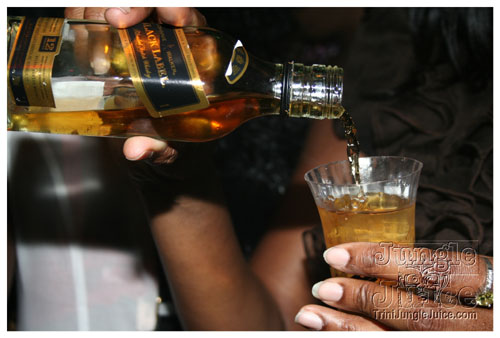 bottles_on_ice_mar15-051