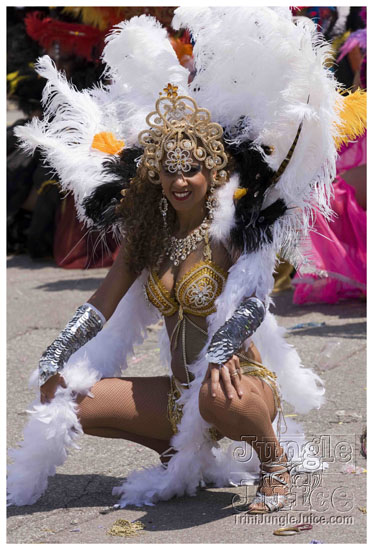 caribana_carnival_parade_2009-085