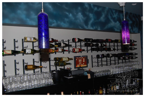 carib_fest_release_party_apr23-009