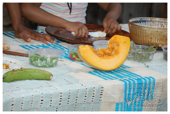 caribbean_festival_village_may23-045