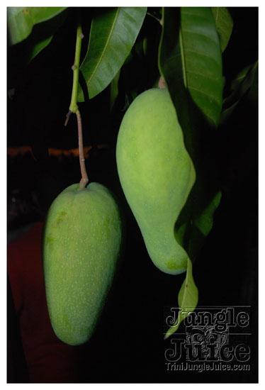 carnival_bailout_apr15-024