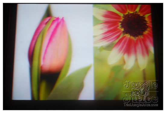 cnz_band_launch_2009-025