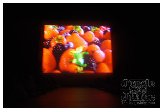 cnz_band_launch_2009-026