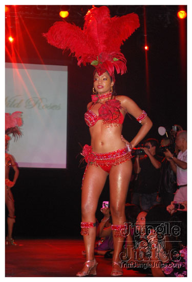 cnz_band_launch_2009-051