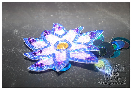 cnz_band_launch_2009-087