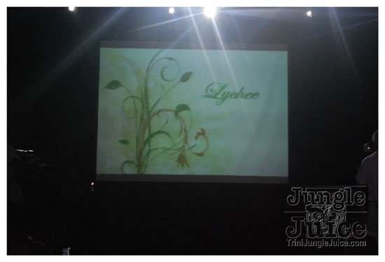 cnz_band_launch_2009-092