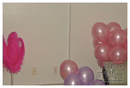 cocktail_twilight_bahs_june6-001