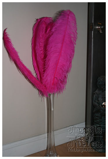 cocktail_twilight_bahs_june6-003