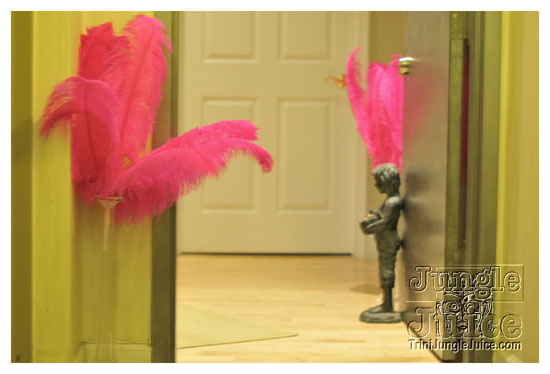 cocktail_twilight_bahs_june6-004