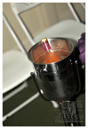 cocktail_twilight_bahs_june6-064