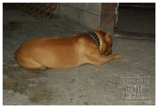 05_simple_c_anniversary_apr13-024